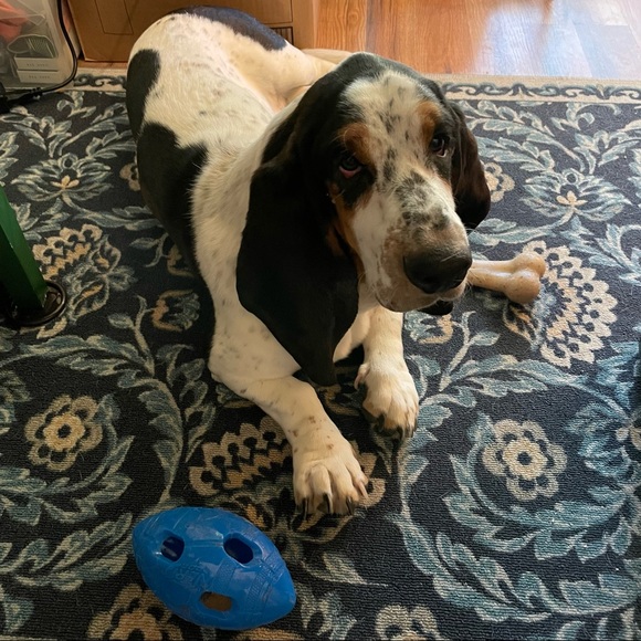 Hello friends! - Picture 12 of 16